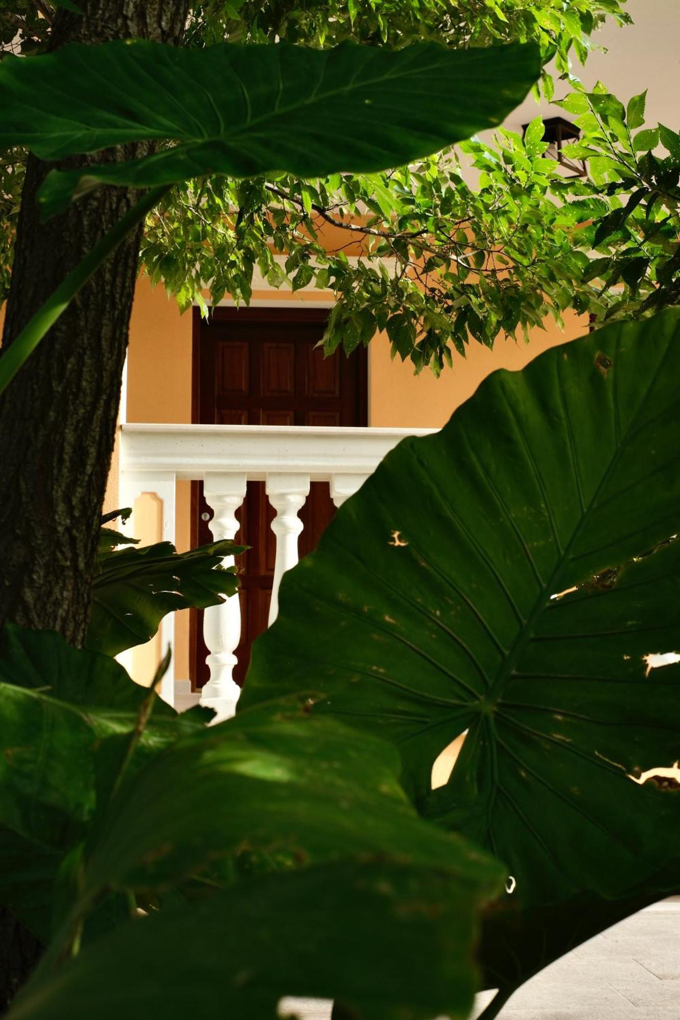 Domus Aurea Villa Alghero Dış mekan fotoğraf