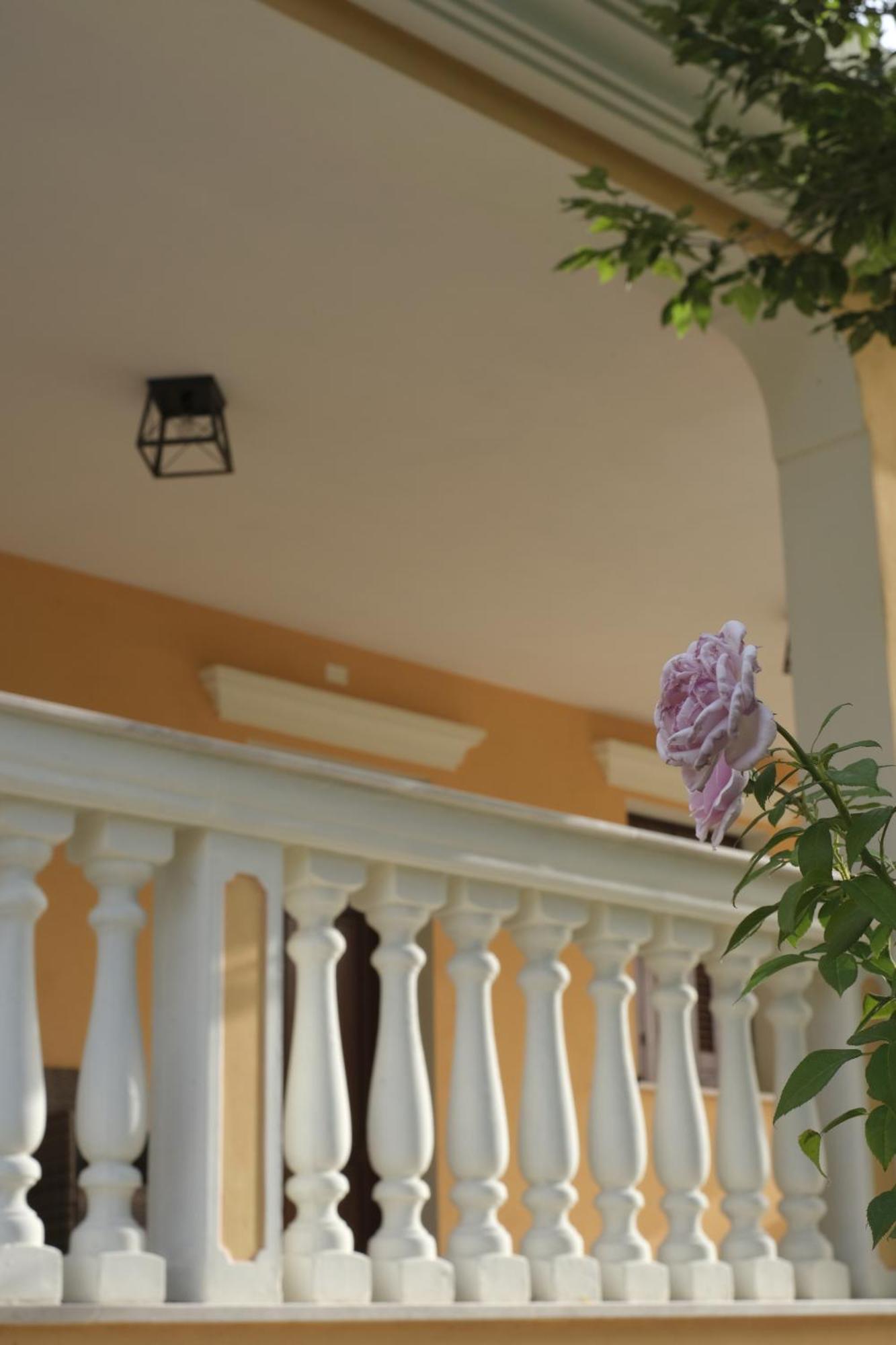 Domus Aurea Villa Alghero Dış mekan fotoğraf